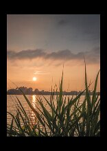 zon 2 null