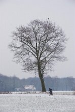 _DSC0114 null