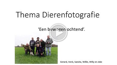 Thema Dierenfotografie null