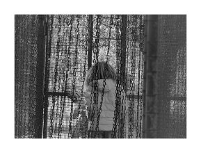 INEKE- B null